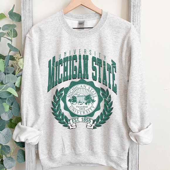 Vintage Michigan State sweatshirt in classic gray - Unisex Sizing - Picture 1 of 4